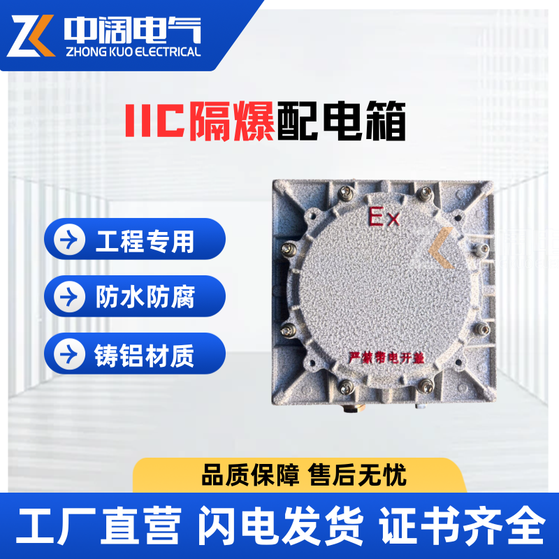 200*200IICExplosion proof box, control distribution box, explosion-proof outdoor type