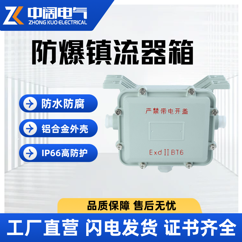 Ballast boxIIBflameproof type125W250WExplosion proof lamp special aluminum alloy anti-corrosion and waterproof