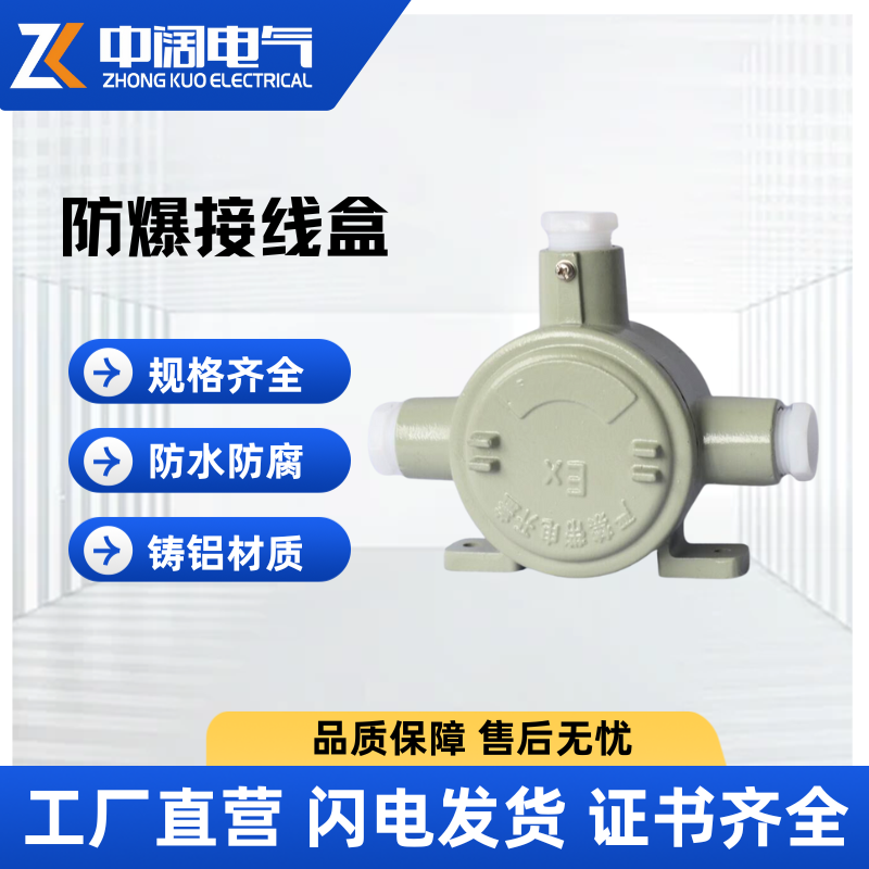 explosion-proofIICExplosion proof pendant light junction box with three-way suspension rod and flat coverDN20