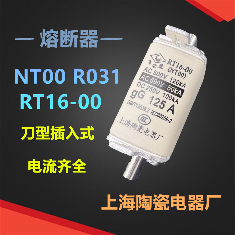 NT00-160A100A上海陶瓷熔断器 RT16-00 gG63A500V熔芯保险丝飞凰