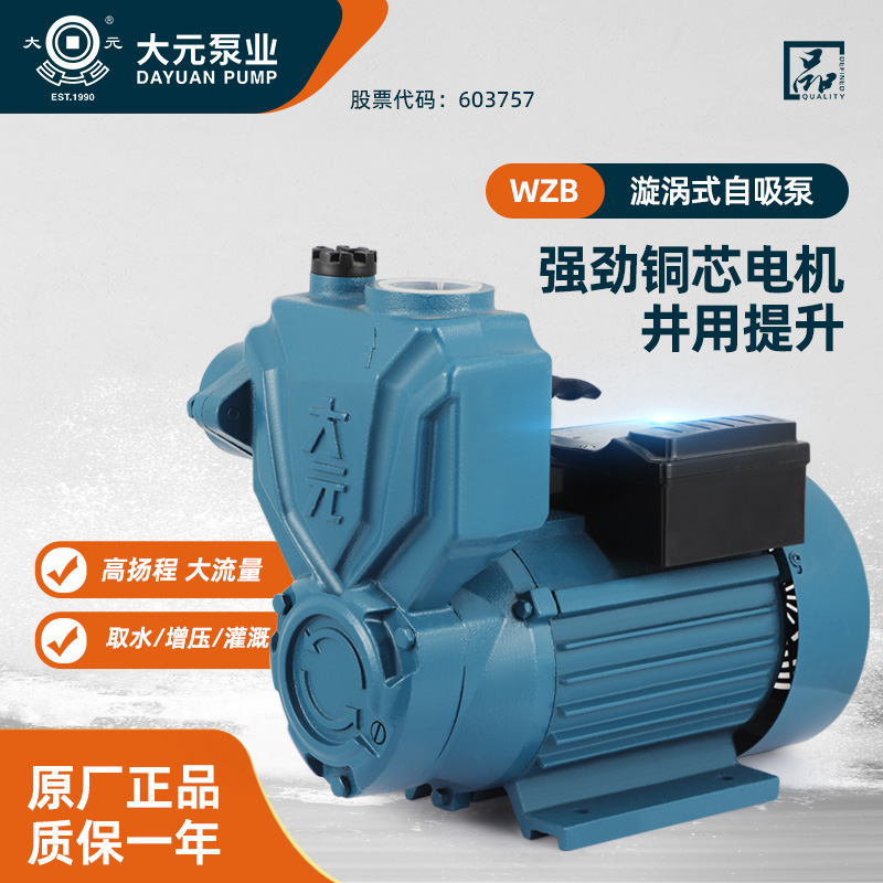 Dayuan self-priming pump1WZB/A1Home self-priming booster pump for tap water and well water220/380VPump water pump