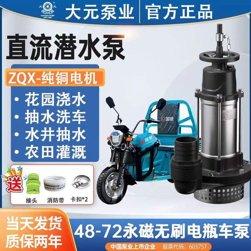 Dayuan electric vehicle water pump48v60v72vDC small submersible pump, agricultural irrigation, vegetable watering, electric battery pump