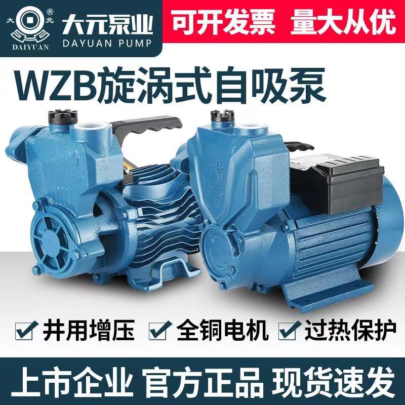 Dayuan self-priming pump single-phase220VHousehold booster pump, high head fully automatic well water pumping pump, solar powered water pump