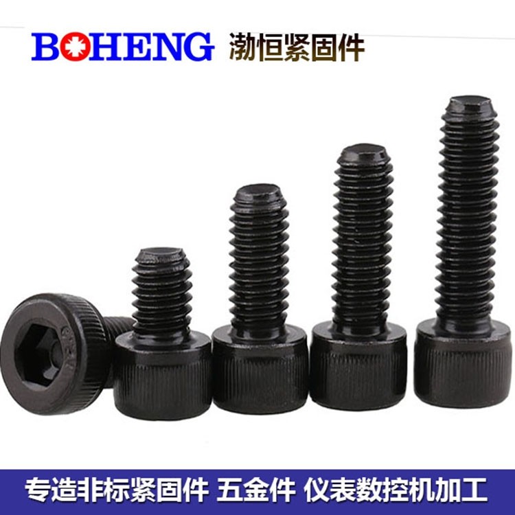 1.25牙距内六角螺丝螺钉螺栓螺柱 M7 M9 M11 M13 M15 M17 M19 M25
