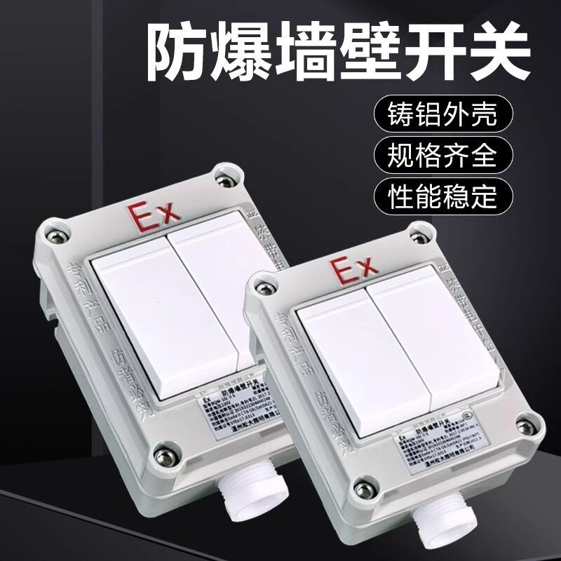 Explosion proof wall switch fuse86Type: Surface mounted, single open, double open10A20AFactory RV Room220V380V