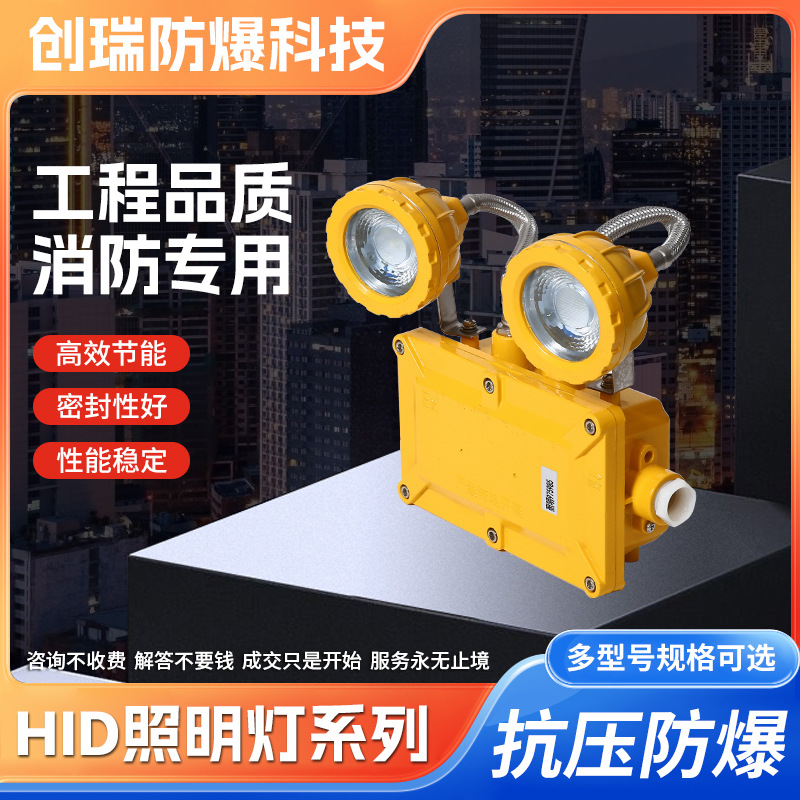 Explosion proof emergency light dual head explosion-proof lighting lampLEDFire evacuation safety lighting, factory explosion-proof light