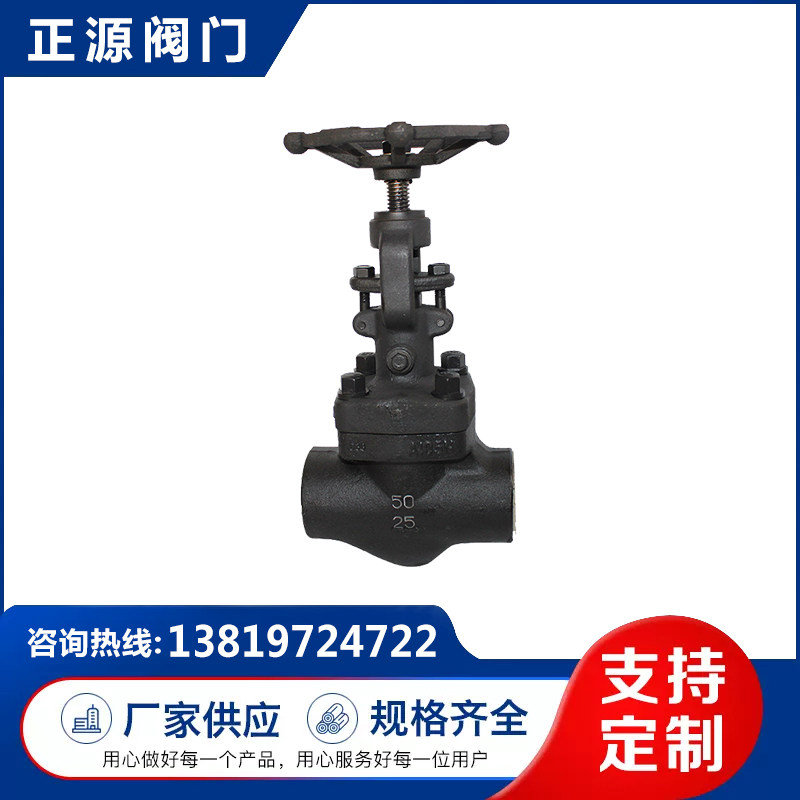 A105 锻钢焊接真空截止阀 PN25 DN50
