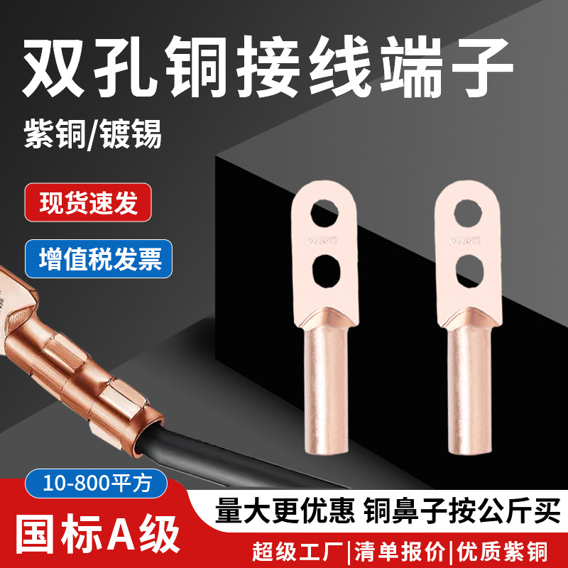 Double hole copper terminal blockDTS Pickled tin plated end connector Copper wiring ears, double eyes, copper nose