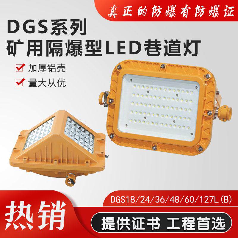 explosion-proof lampLEDtunnel light36VLow pressure wall mounted ceiling light30W24VLow voltage tunnel wall mounted power plant